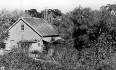Photograph - Digital Image, Willis Vale, 1950c