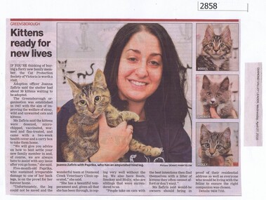Newspaper Clipping, Diamond Valley Leader, Kittens ready for new lives, 27/04/2016