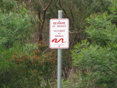 Photograph - Digital image, Dennis Ward, Snake sign on the Plenty River Trail, 27/03/2010