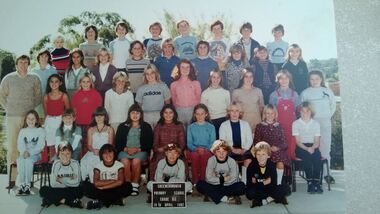 School Photograph - Digital Image, Greensborough Primary School Gr2062 1982 Grade 6C, 1982_
