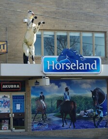Photograph - Digital image, Marilyn Smith, Horseland Greensborough 1, 18/08/2015