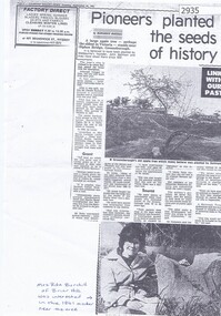 Newspaper clipping, Marguerite Marshall, Pioneers planted the seeds of history, by Marguerite Marshall, 29/09/1981