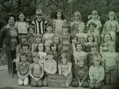 School Photograph - Digital Image, Montmorency Primary School Mo4112 1977 Grade 3A, 1977_