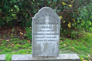 Photograph - Digital image, Marilyn Smith, Grave of Anthony Harper Beale, St Helena Cemetery, 12/02/1951