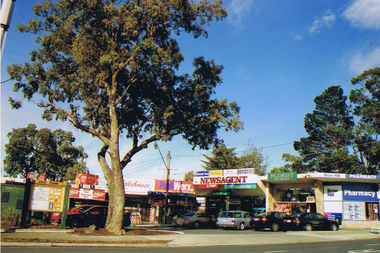 Photograph - Digital image, Frank Solomon, Briar Hill Shops 4, 2012_