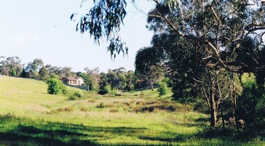 Photograph - Digital image, Frank Solomon, Open land Greensborough, 1990c