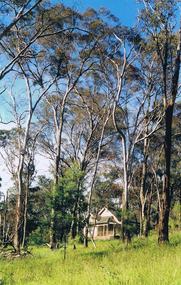 Photograph - Digital image, House among the trees, Greensborough, 1990c