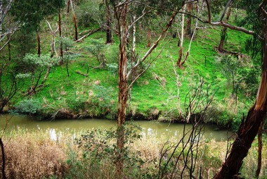 Photograph - Digital image, Marilyn Smith, Blue Lake 2, 19/06/2015