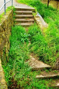 Photograph - Digital image, Marilyn Smith, Plenty River bank stabilisation 2015; Steps to path, 16/08/2015