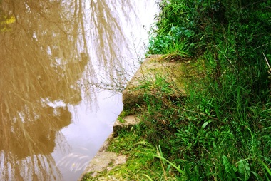 Photograph - Digital image, Marilyn Smith, Plenty River bank at Greensborough 2015; Diving platform, 16/08/2015
