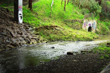 Photograph - Digital image, Marilyn Smith, Plenty River bank at Greensborough 2015; Low water level, 16/08/2015