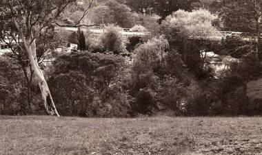 Photograph - Digital image, Jan Lewis, View from Sondemeyer's House overlooking the Greensborough Tea Gardens and bridge circa 1958, 1958c