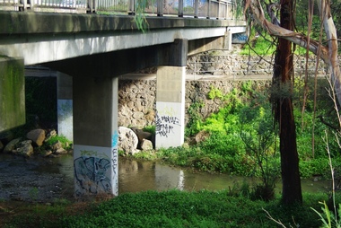 Photograph - Digital image, Marilyn Smith, Railway Road Rail Bridge over Plenty River Briar Hill, 17/09/2014