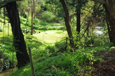 Photograph - Digital image, Marilyn Smith, On the Plenty River bank near Railway Road Briar Hill, 17/09/2014