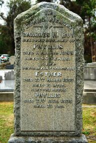 Photograph - Digital image, Marilyn Smith, Grave of Charles, Esther and Phyllis Roy, St Helena Cemetery, 11/03/1899
