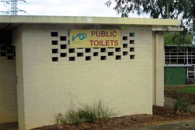 Photograph - Digital image, Marilyn Smith, Watsonia Road toilet block, 2016, 24/05/2016