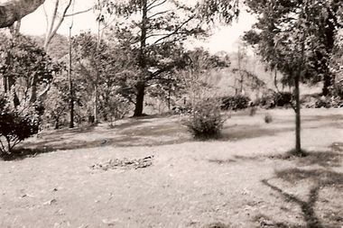 Photograph - Digital image, June Roberts, The garden at Blackjack 2, 1960c