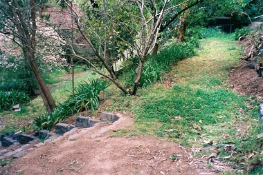 Photograph - Digital image, June Roberts, Garden steps at Blackjack, 1999c