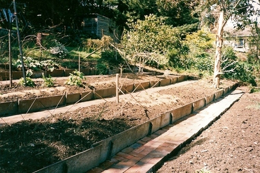 Photograph - Digital image, June Roberts, Garden terraces at Blackjack, 1999c