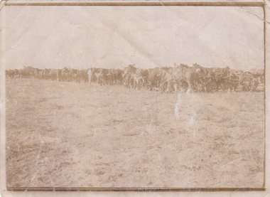 Photograph - Digital image, Charles Marshall et al, 3rd Light Horse Brigade Machine Gun Squadron transport, 1917_
