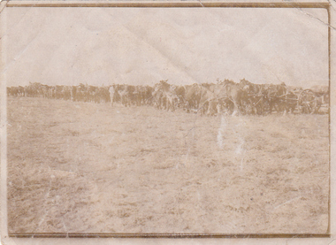 Photograph - Digital image, Charles Marshall et al, 3rd Light Horse Brigade Machine Gun Squadron transport, 1917_
