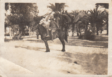 Photograph - Digital image, Charles Marshall et al, Australian infantryman on Light Horse, 1918_