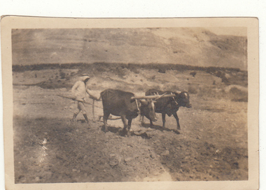 Photograph - Digital image, Charles Marshall et al, Bedouin Arab ploughing, 1918_
