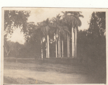 Photograph - Digital image, Charles Marshall et al, Ezbekia gardens Cairo, 1918_