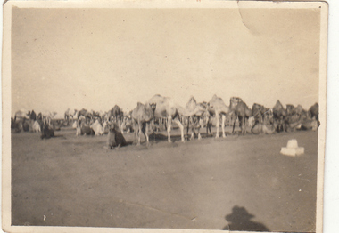 Photograph - Digital image, Charles Marshall et al, Imperial Camel Corps 1918, 1918_