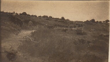 Photograph - Digital image, Charles Marshall et al, Light Horse on the move 2, 1918_