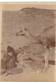 Photograph - Digital image, Charles Marshall et al, Locals with camel, 1918_