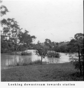 Photograph - Digital Image, Tony Fitton, Plenty River flood 1960s, 1960s
