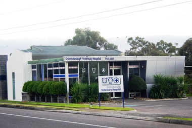 Photograph - Digital image, Marilyn Smith, Greensborough Veterinary Hospital, 22/07/2017