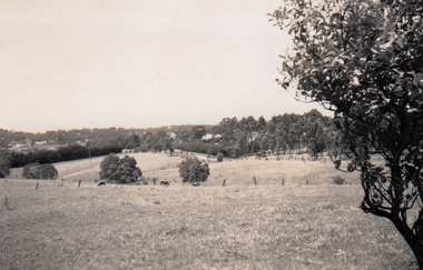 Photograph - Digital Image, Cherel Sartori, Looking east from Henry Street to the river 1956, 01/01/1956