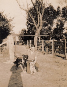 Photograph - Digital Image, Cherel Sartori, Paddock and gates in Henry Street, 1950s, 1956c