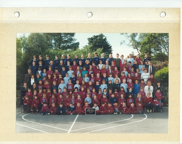 School Photograph - Digital Image, Briar Hill Primary School BH4341 1995 Whole School, 1995_