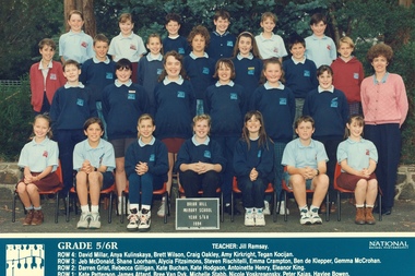 School Photograph - Digital Image, Briar Hill Primary School BH4341 1994 Grade 5-6 R, 1994_