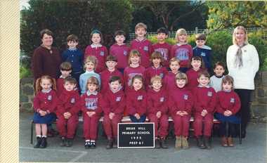 School Photograph - Digital Image, Briar Hill Primary School BH4341 1995 Grade Prep and 1, 1995_
