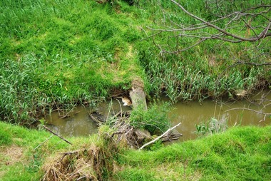 Photograph - Digital Image, Marilyn Smith, Log over the Plenty River near Willinda Park, 06/11/2017