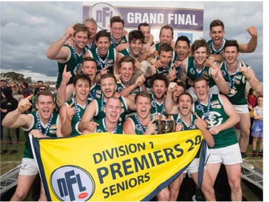 Photograph - Digital Image, Greensborough Football Club. Premiers 2015, 2015_