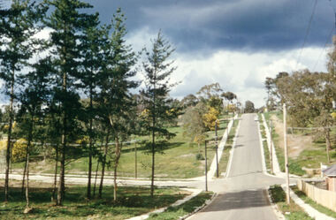 Photograph - Digital Image, Bonnie Doon Street, circa 1960, 1960s
