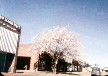 Photograph - Digital Image, Main Street Greensborough, circa 1960, 1960s