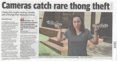 Newspaper Clipping, Diamond Valley Leader, Cameras catch rare thong theft, 06/02/2019