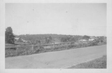 Photograph - Digital image, Nance Reardon, Grimshaw Street looking from the Simons' house 1950s, 1950s