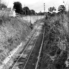 Photograph - Digital Image, Rail cutting approaching Greensborough Station 1970, 1970_