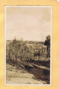 Photograph - Digital Image, Mystery mine photographs: Landscape of scrub, 1935c