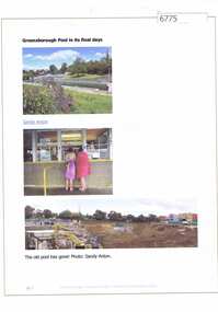 Article and Photograph, Greensborough Pool in its final days, 2016_
