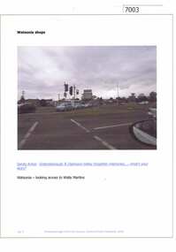 Article and Photograph, Watsonia shops, 2016_