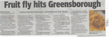 Newspaper Clipping, Diamond Valley Leader, Fruit fly hits Greensborough, 29/01/2020