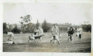 Photograph - Digital Image, J. Gadsden and Co. Picnic at Greensborough 1934 - Wheelbarrow race, 1934_